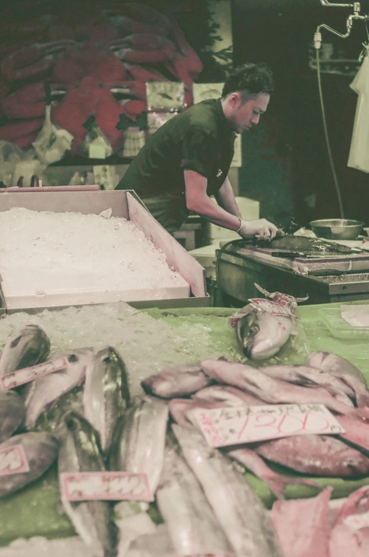 zine · Fisch